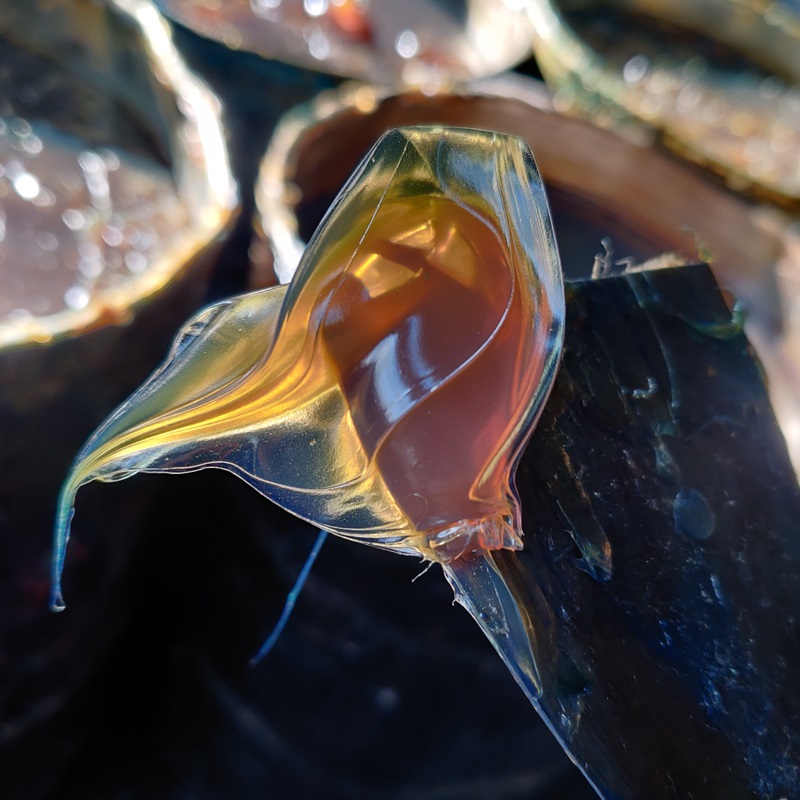 潤(rùn)滑脂廠家-潤(rùn)滑脂的質(zhì)量如何判斷